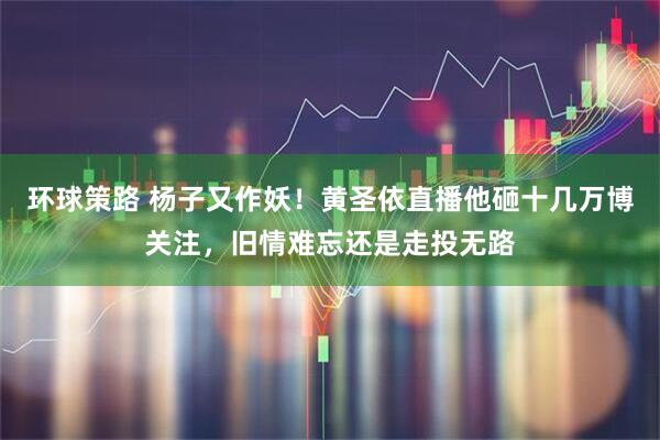 环球策路 杨子又作妖！黄圣依直播他砸十几万博关注，旧情难忘还是走投无路
