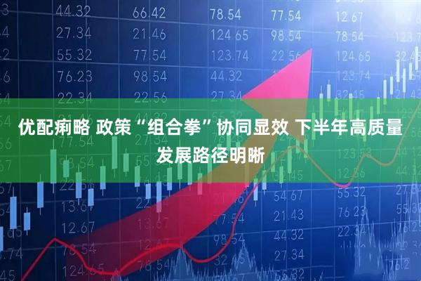 优配痢略 政策“组合拳”协同显效 下半年高质量发展路径明晰